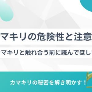 カマキリの危険性と注意点